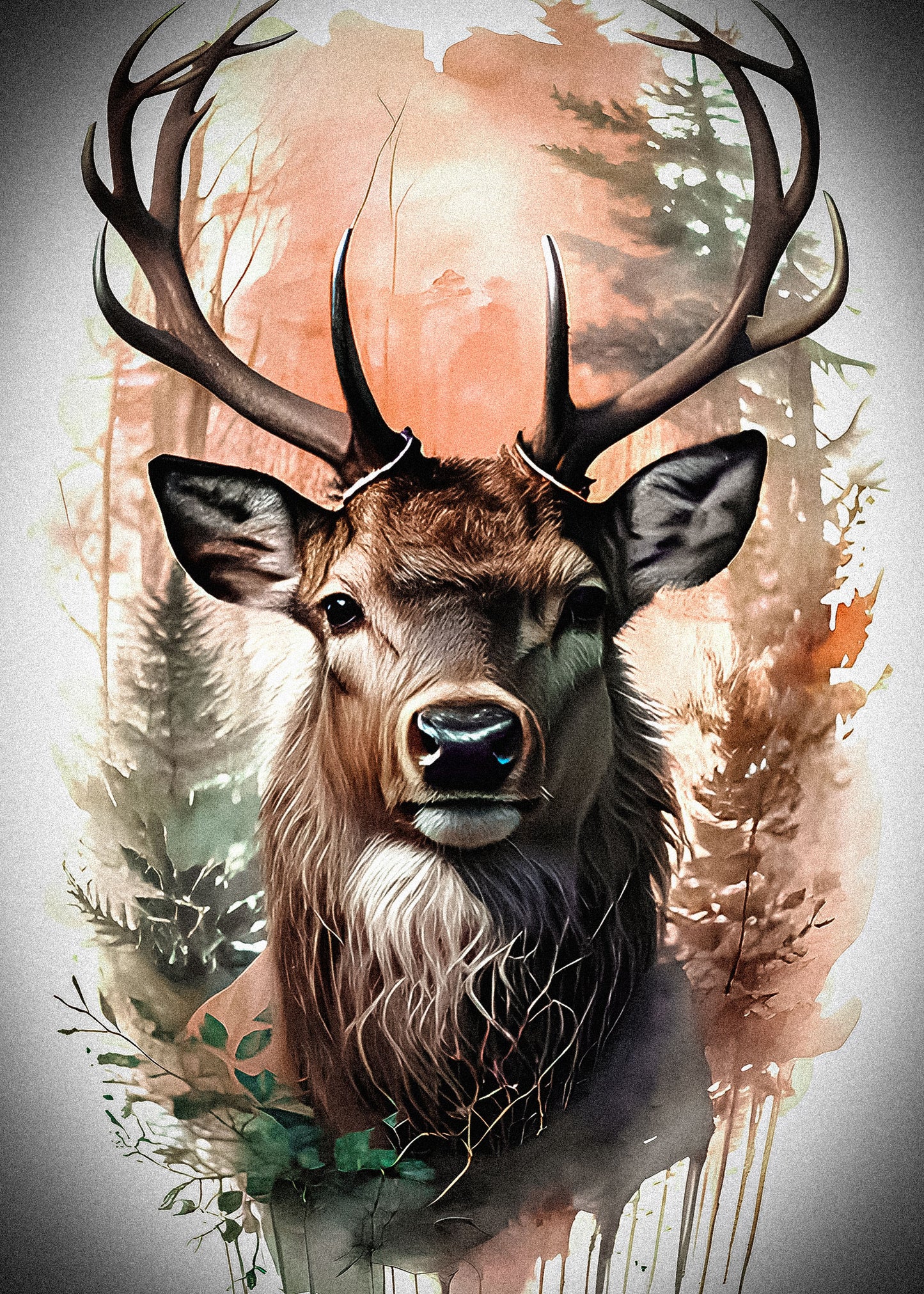 DEER 2